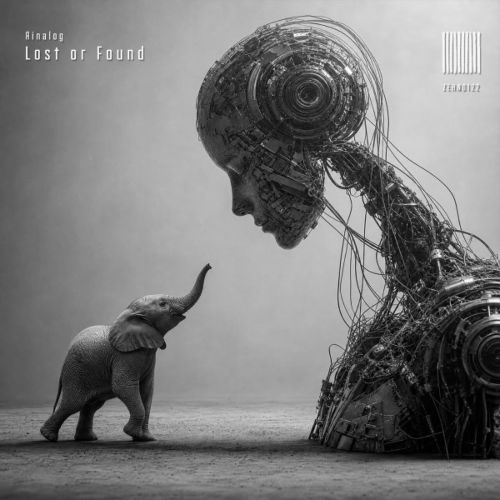 Ainalog - Lost or Found (Extended Mix)