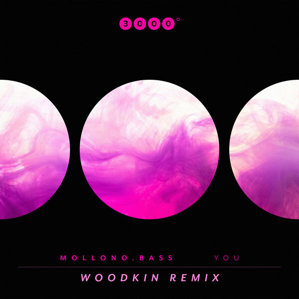 Mollono.Bass - You (WOODKIN Exdended Remix)