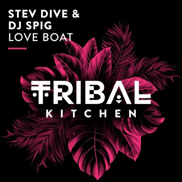 Stev Dive, DJ Spig - Love Boat (Extended Mix)