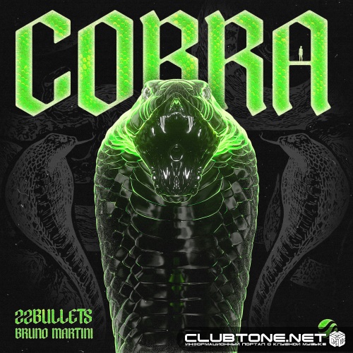 22Bullets & Bruno Martini - Cobra (Extended Mix)