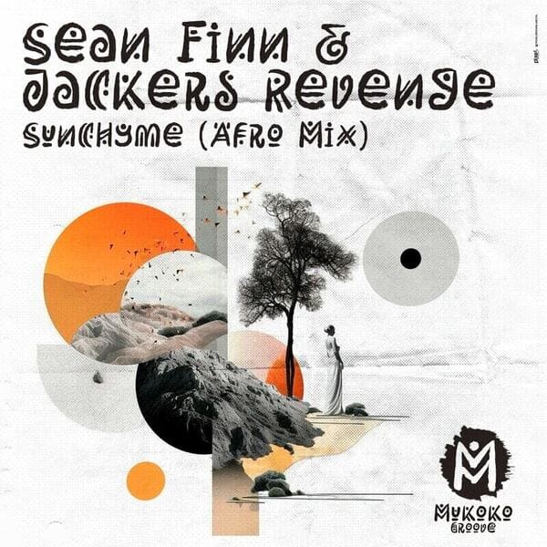 Sean Finn, Jackers Revenge - Sunchyme (Afro Extended Mix)