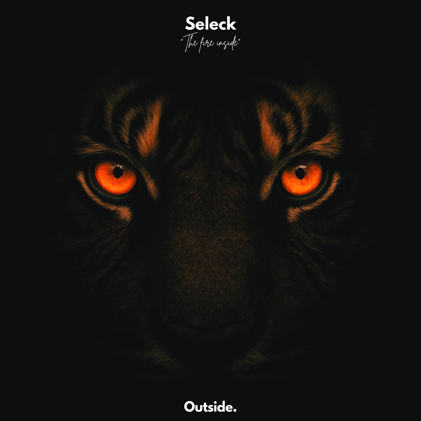 Seleck - The Fire Inside (Original Mix)
