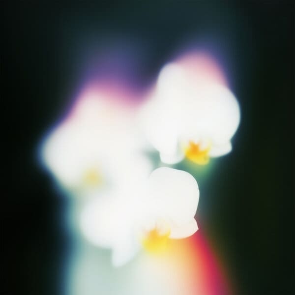 Ivory (IT) - Bringing Me Joy