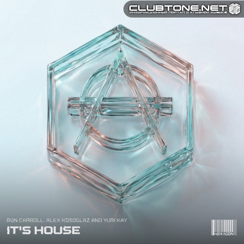 Ron Carroll, Alex Kosoglaz, Yuri Kay - It's House (Extended Mix)