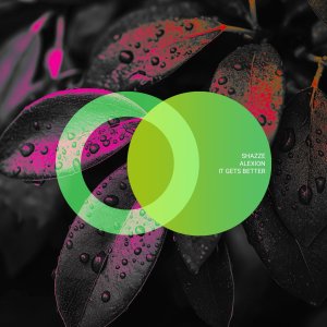 SHAZZE, Alexion - Penetrate Your Mind (Original Mix)