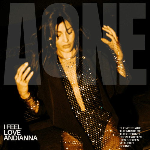 Andianna - I Feel Love (Original Mix)