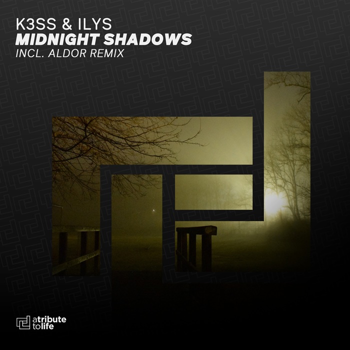 Aldor, K3SS, ILYS - Midnight Shadows (Aldor Extended Remix)