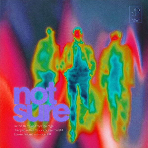 Prana Flow, panz. & True Motion - Not Sure (Extended Mix)