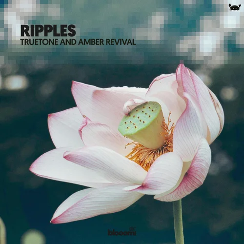 Amber Revival, Truetone - Ripples (Extended Mix)