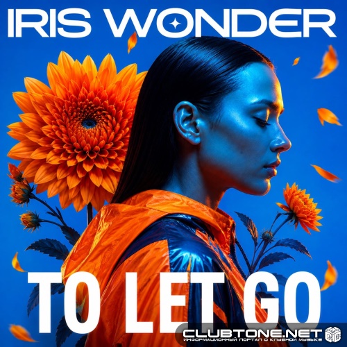 Iris Wonder - To Let Go (Original Mix)