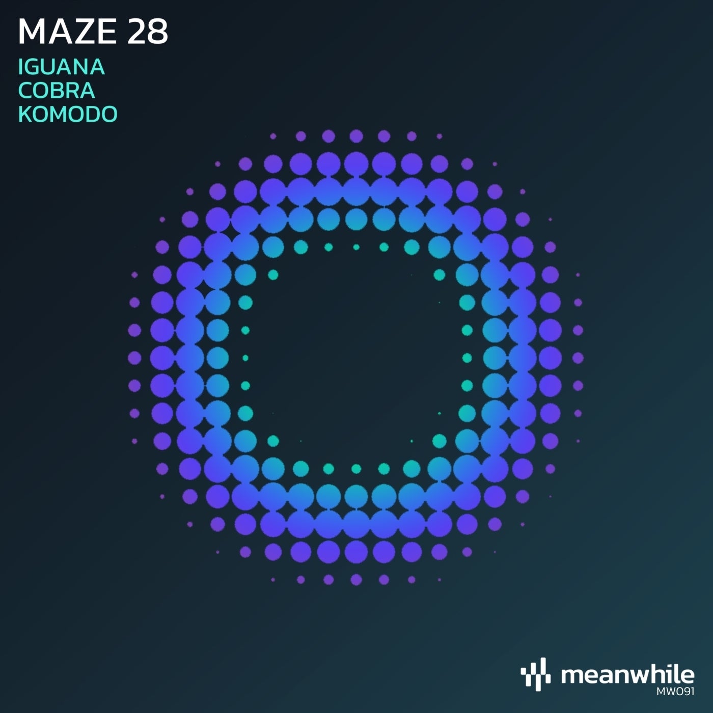 Maze 28 - Iguana (Original Mix)