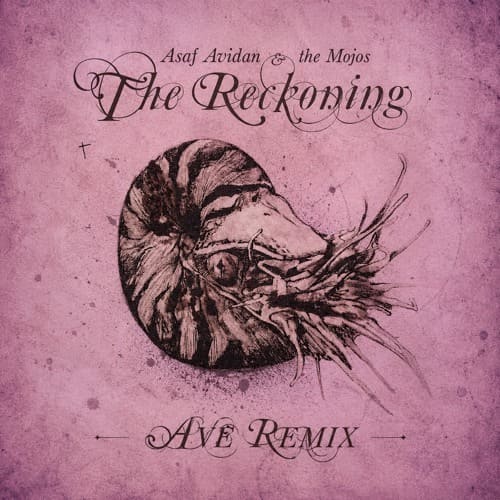 Asaf Avidan, The Mojos - One Day (AVE Remix)