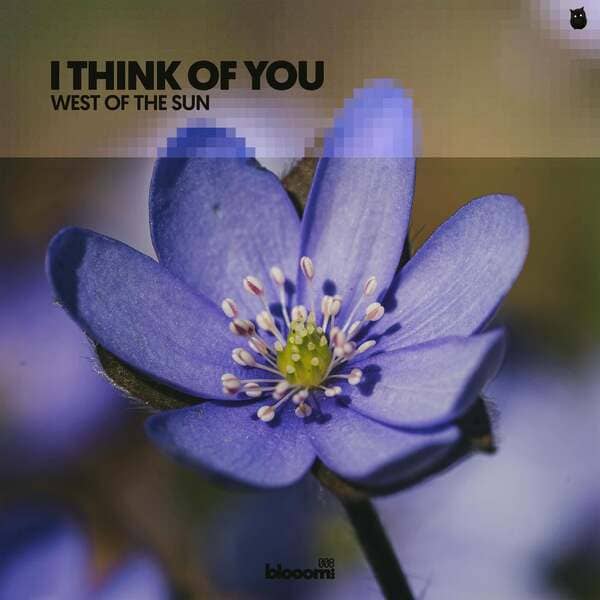 West of the Sun - I Think of You (Extended Mix)