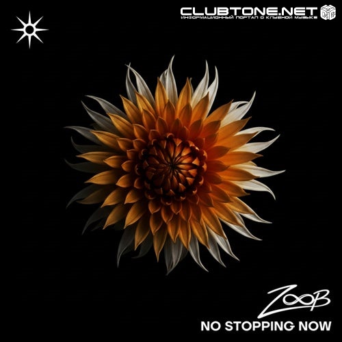ZOOB - No Stopping Now (Extended Mix)