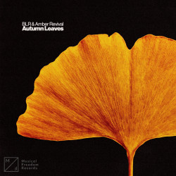 BLR, Amber Revival - Autumn Leaves (Extended Mix)