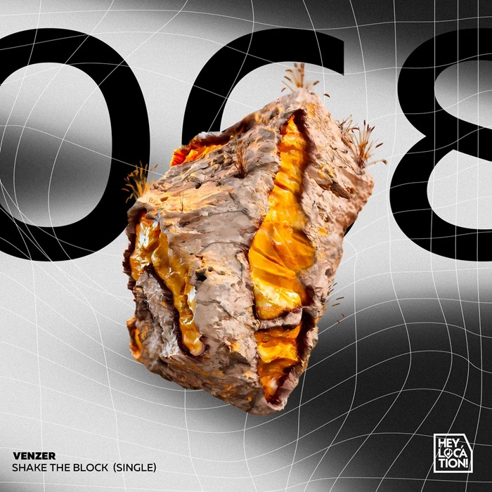 Venzer - Shake the Block  (Original Mix)