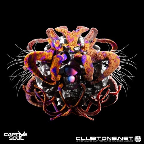 Glowal, DREYA V - Physique (Extended Mix)