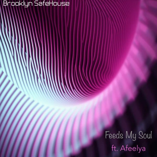 Brooklyn SafeHouse, Afeelya - Feeds My Soul (Original Mix)