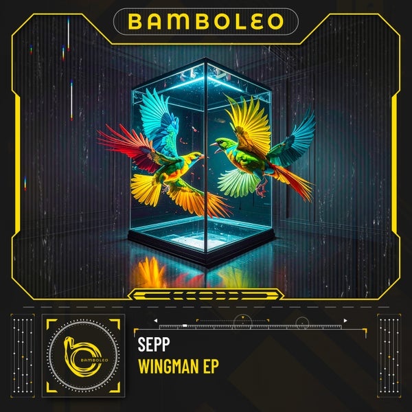 Sepp - A Friend's Diary (Original Mix)