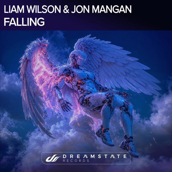 Liam Wilson, Jon Mangan - Falling (Extended Mix)
