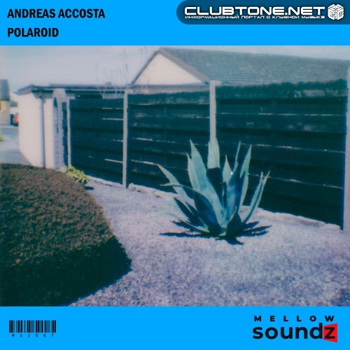 Andreas Accosta - Polaroid (Original Mix)