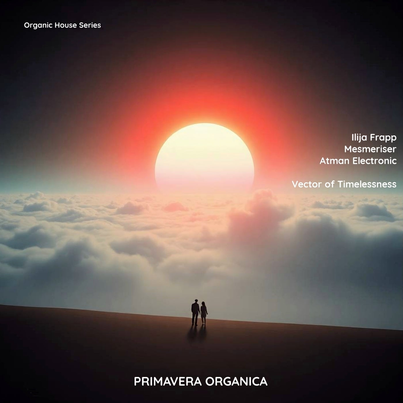 Ilija Frapp & Mesmeriser - Meadow (Original Mix)