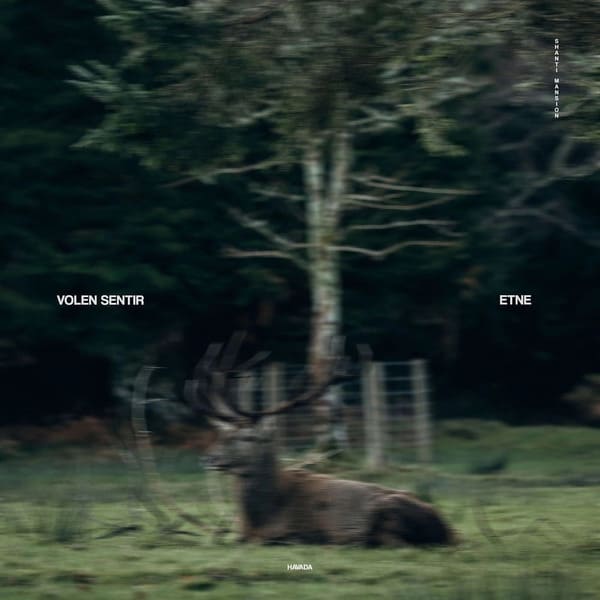 Volen Sentir, ETNE - Havada (Etne Remix)