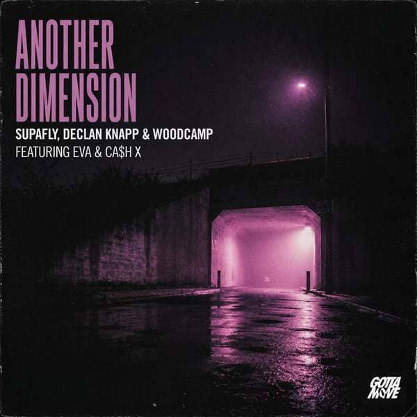 Supafly, Eva, Declan Knapp, Woodcamp, Ca$h X - Another Dimension (Extended Mix)