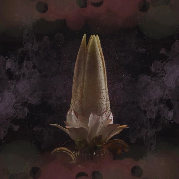 Panama, Amtrac - Hummingbird
