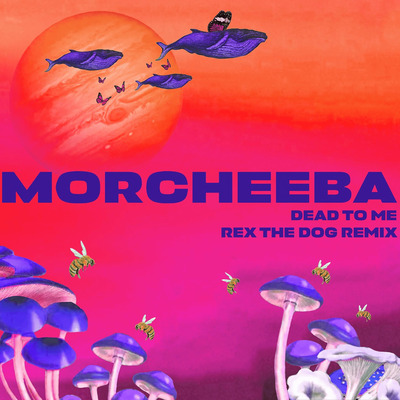 Morcheeba - Dead To Me (Rex The Dog Remix)