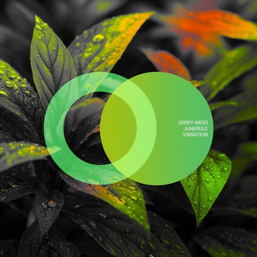 Jordy Wess, Junerule - Vibration (Original Mix)
