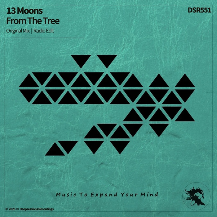 13 Moons - From The Tree (Original Mix)