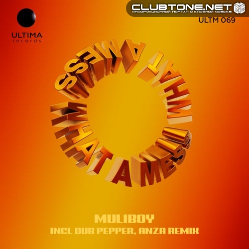 MULIBOY - What a Mess (Dub Pepper, Anza Remix)