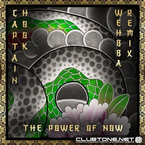 Wehbba & Captain Hook - The Power of Now (Wehbba Remix)
