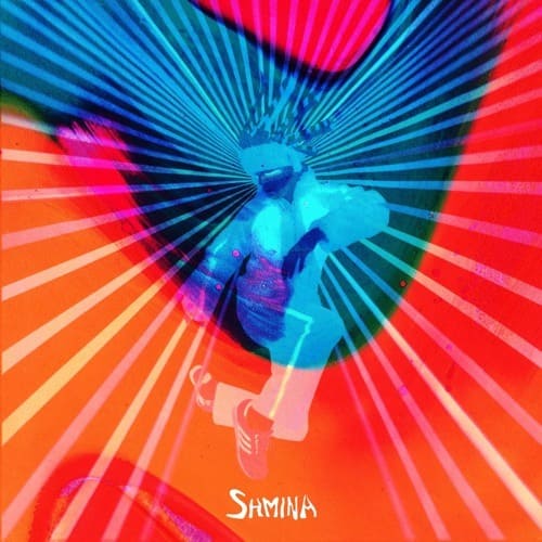 RÜFÜS DU SOL - Like An Animal (Shmina Remix)