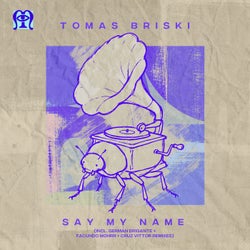 Tomas Briski - I Like Wrong (German Brigante Extended Remix)