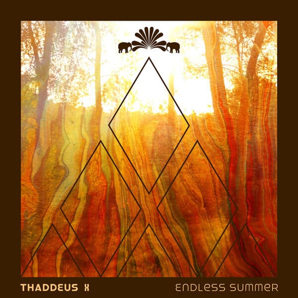 Thaddeus X - Endless Summer (Original Mix)