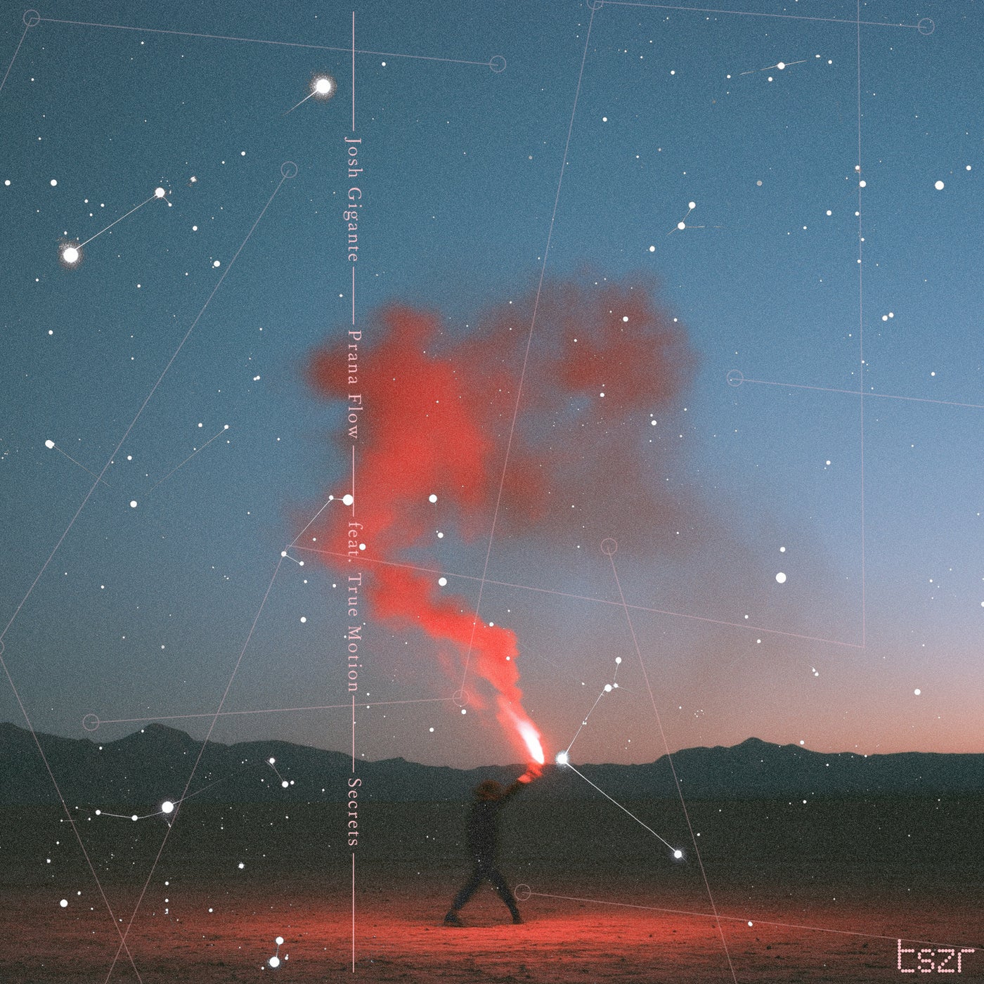 Josh Gigante, Prana Flow, True Motion - Secrets (feat. True Motion)