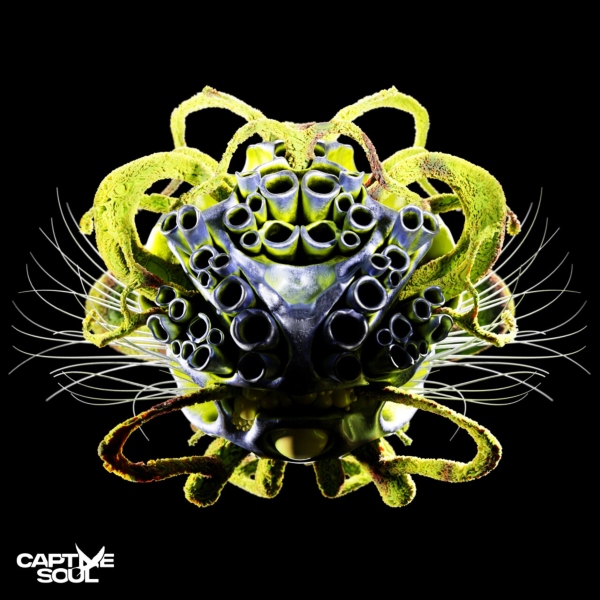 Carl Bee - Dance In The Pain (Extended Mix)