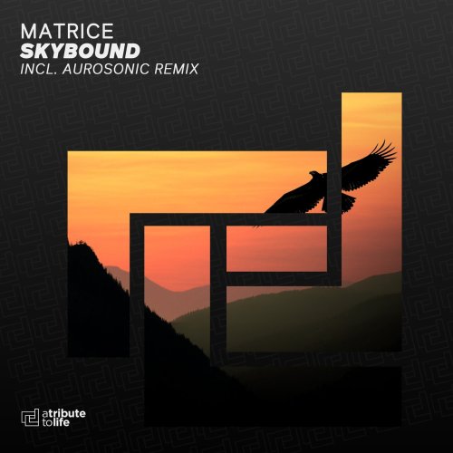 Matrice - Skybound (Aurosonic Extended Remix)