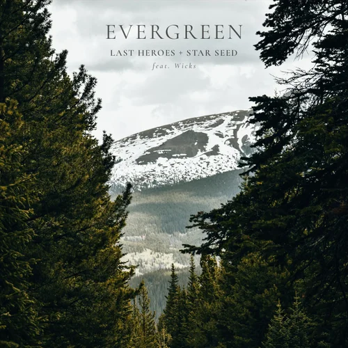 Last Heroes & Star Seed feat. Wicks - Evergreen (Original Mix)