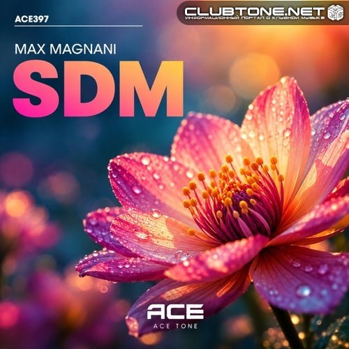Max Magnani - S.D.M. (Original Mix)