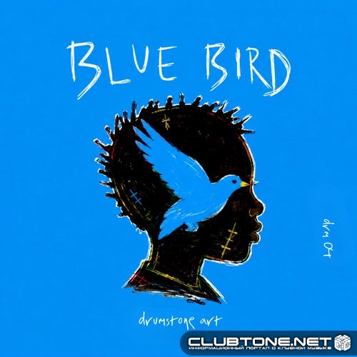 Drumstone - Blue Bird (Original Mix)