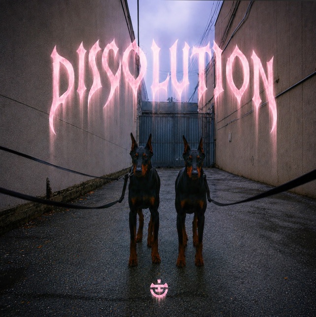 Samuel Wallen, Mike Gannu - Discolution (Extended Mix)
