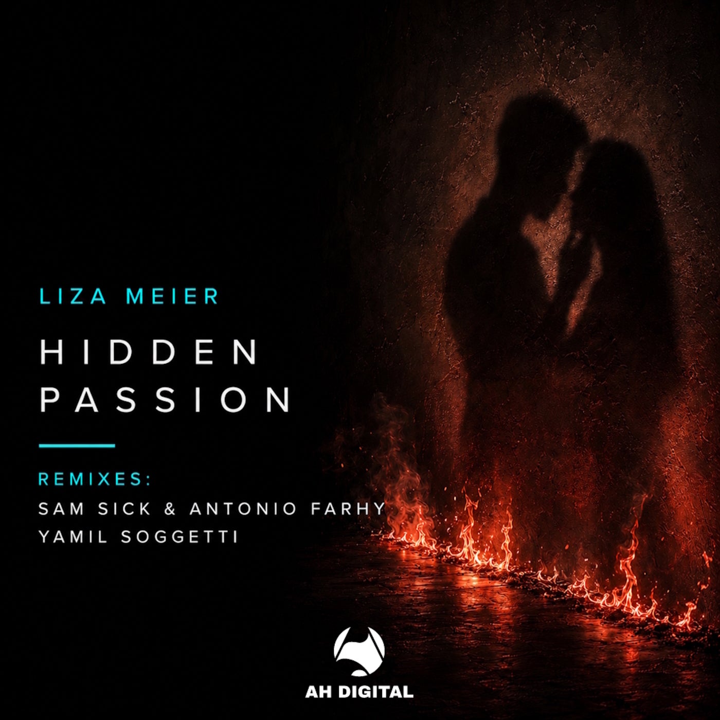 Liza Meier - Hidden Passion (Original Mix)