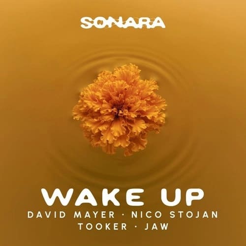 David Mayer, Nico Stojan, Tooker, JAW - Wake Up