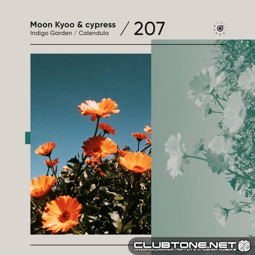 Moon Kyoo, cypress - Calendula (Extended Mix)