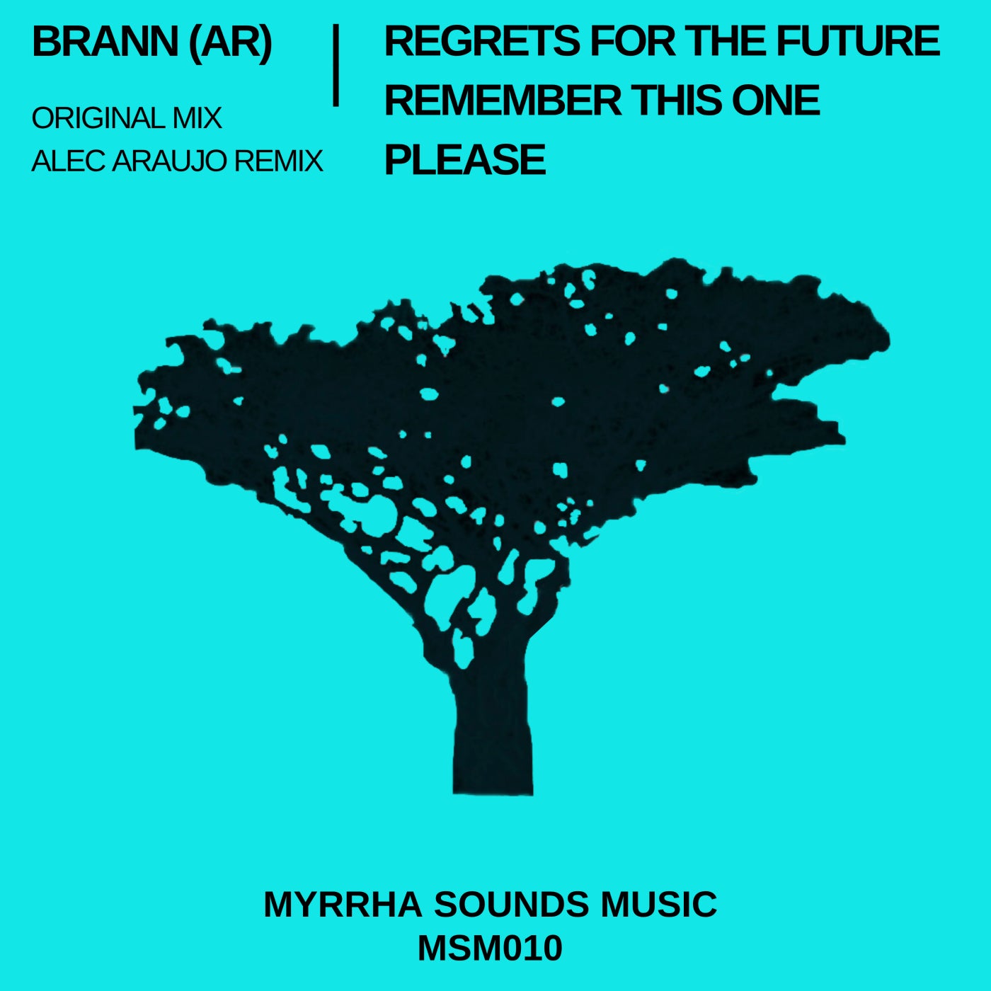 Brann (AR) - Regrets for the Future (Original Mix)