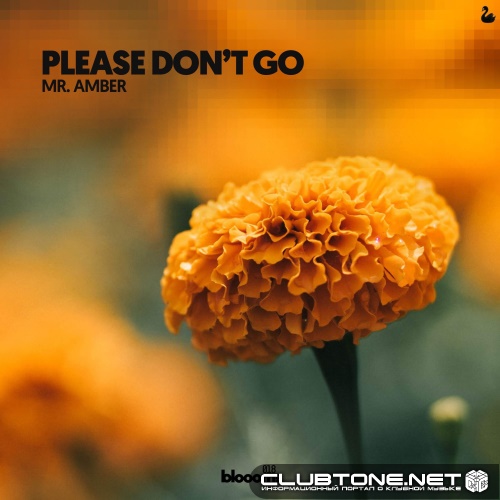 Mr. Amber - Please Don't Go (Extended Mix)