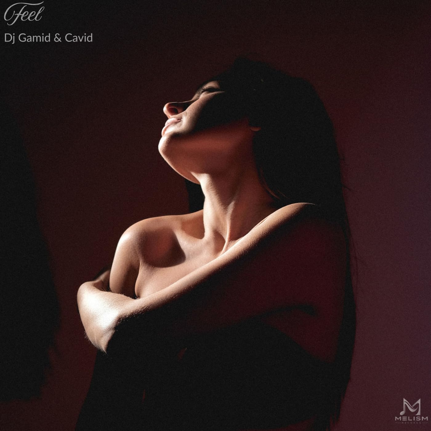DJ Gamid & Cavid - Feel (Original Mix)